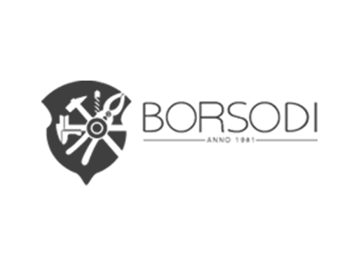 borsodi